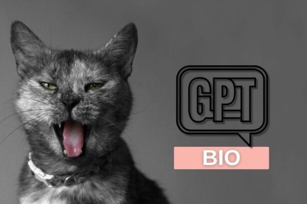 יצירת ביוגרפיה מותאמת אישית