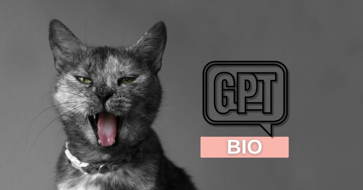 יצירת ביוגרפיה מותאמת אישית